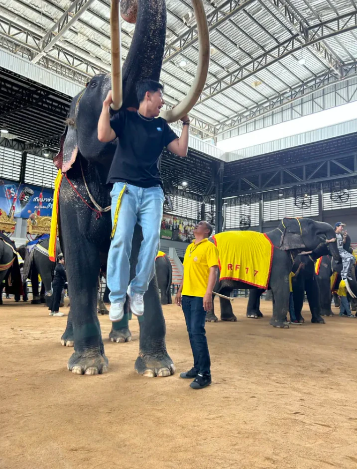 Visiting an elephant sanctuary